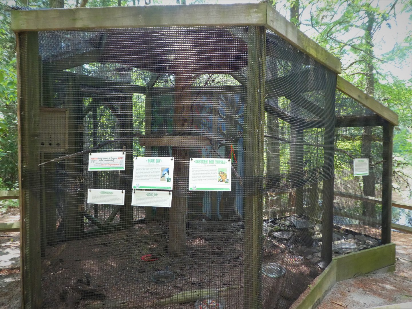 Wildlife Housing Area - Blue Jay and Eastern Box Turtle Exhibit