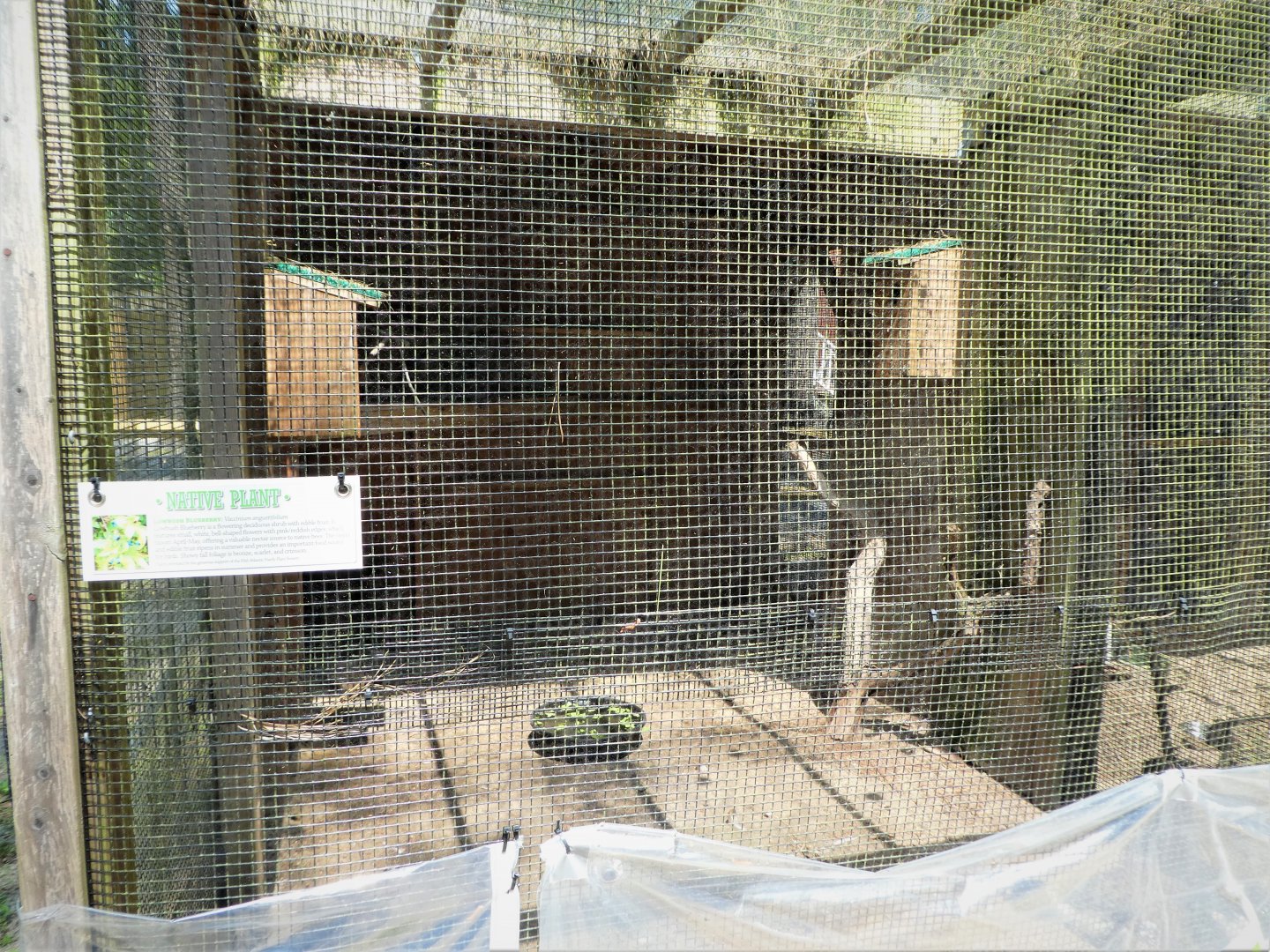 Wildlife Housing Area - Canada Goose Exhibit