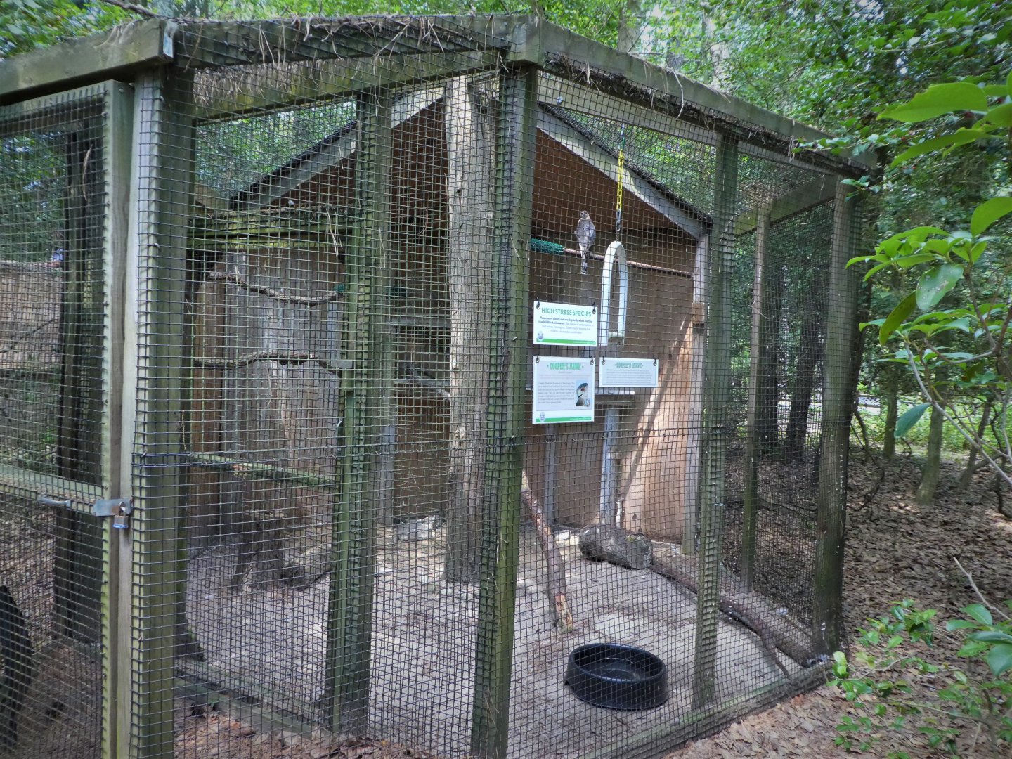 Wildlife Housing Area - Cooper's Hawk Exhibit