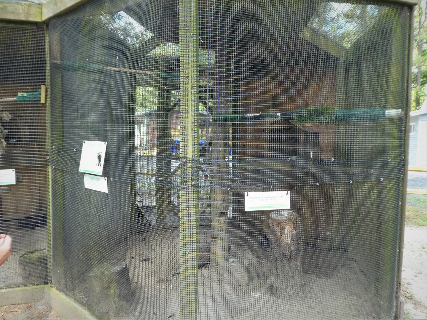 Wildlife Housing Area - Eastern Crow Exhibit