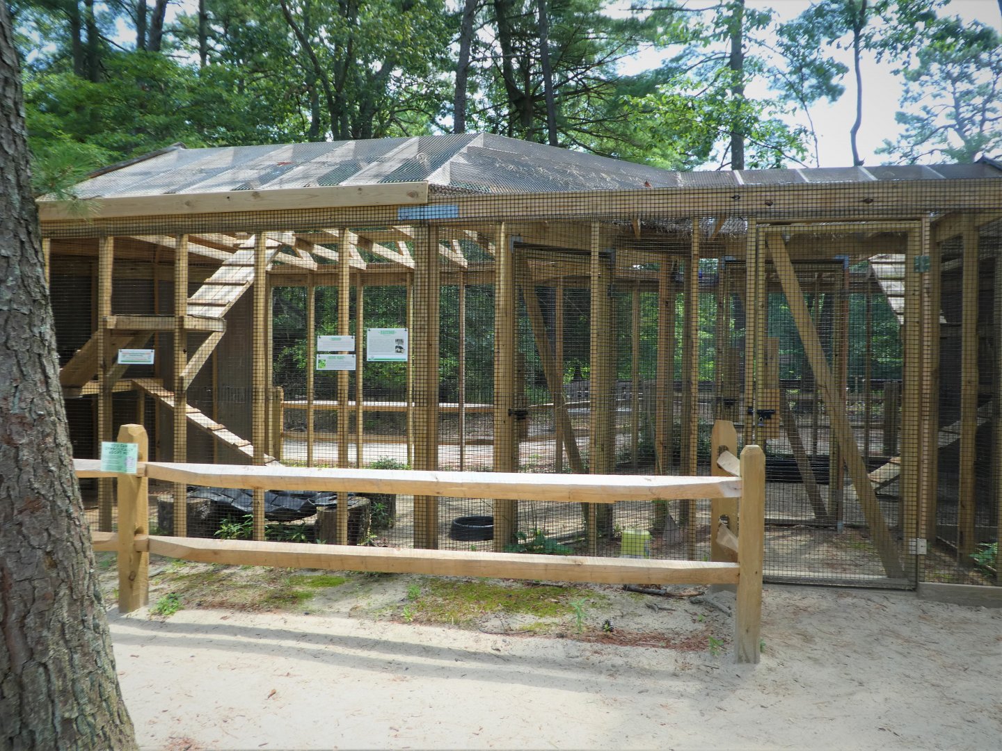 Wildlife Housing Area - Eastern Raccoon Exhibit