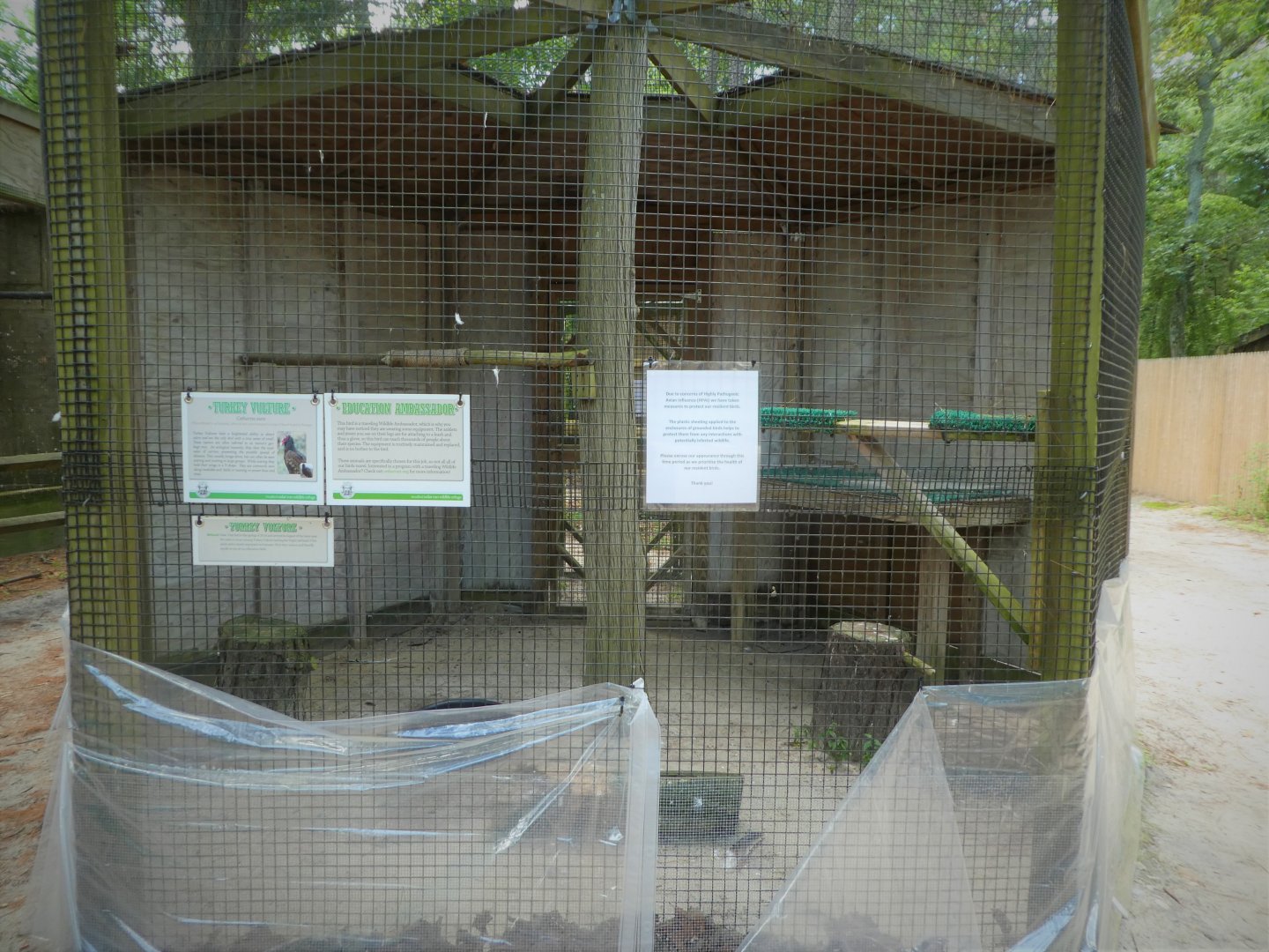 Wildlife Housing Area - Eastern Turkey Vulture Exhibit