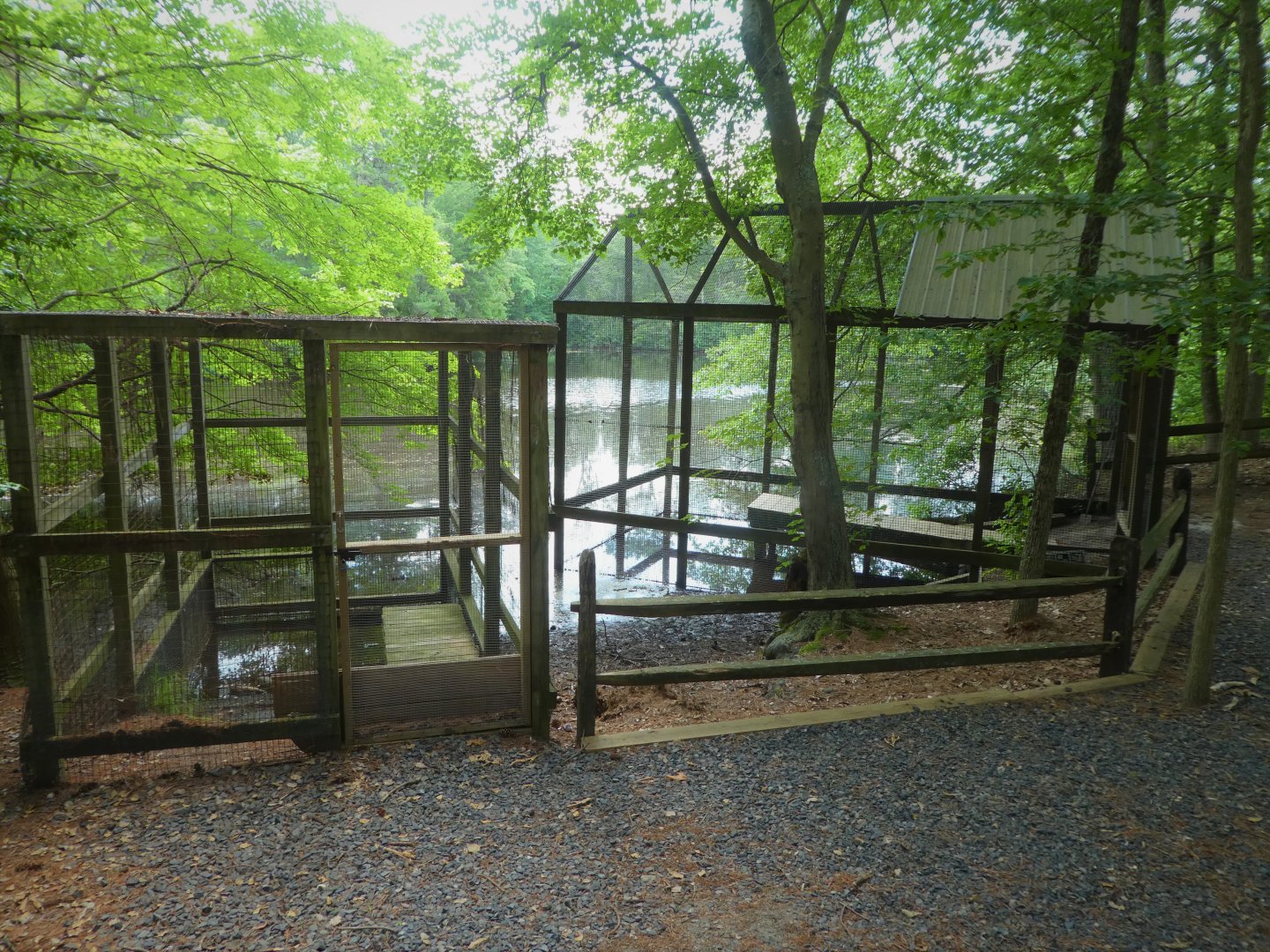 Wildlife Housing Area - Empty Waterfowl Exhibits