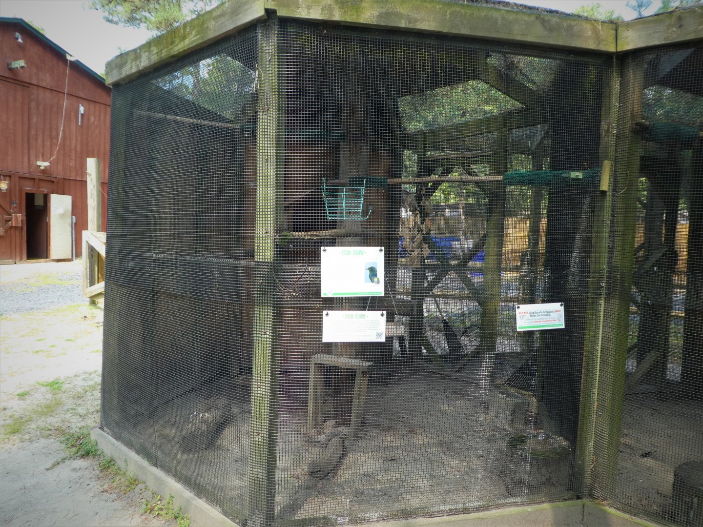 Wildlife Housing Area - Fish Crow Exhibit