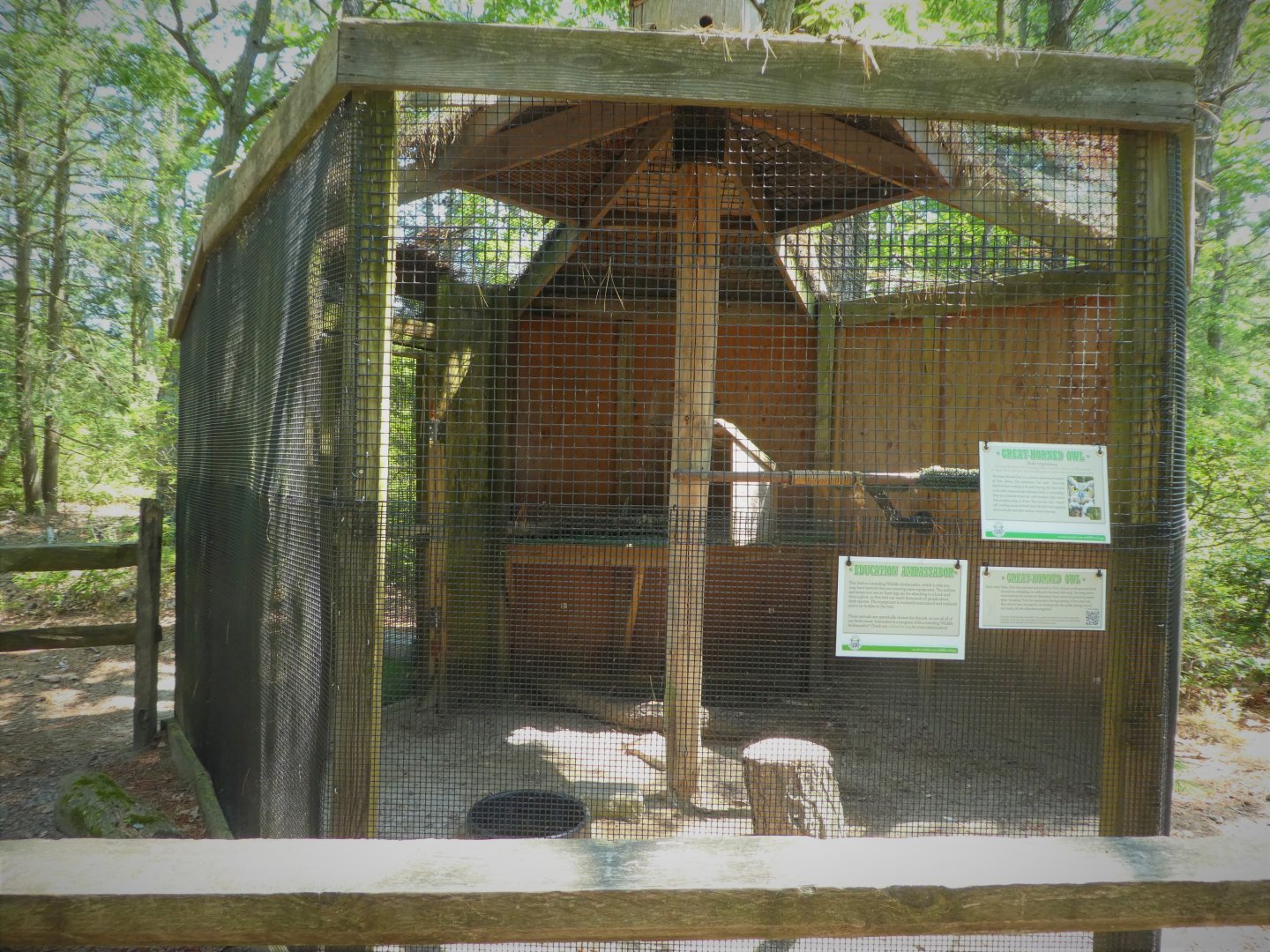 Wildlife Housing Area - Great Horned Owl Exhibit