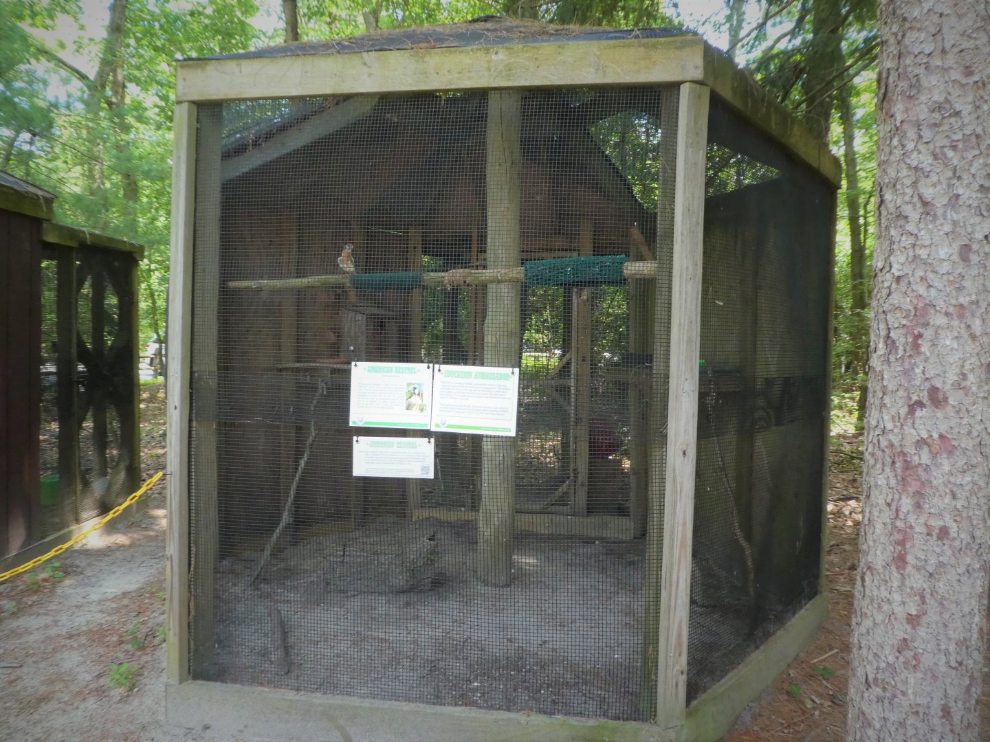 Wildlife Housing Area - Northern American Kestrel Exhibit