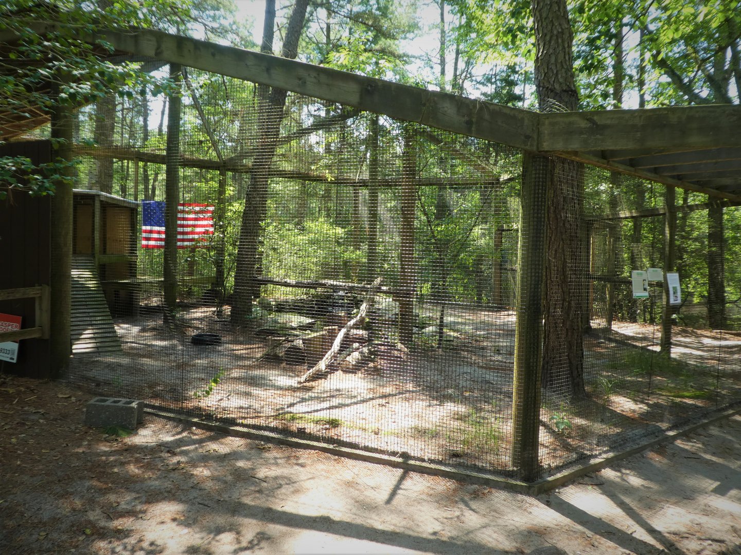 Wildlife Housing Area - Northern Bald Eagle Exhibit