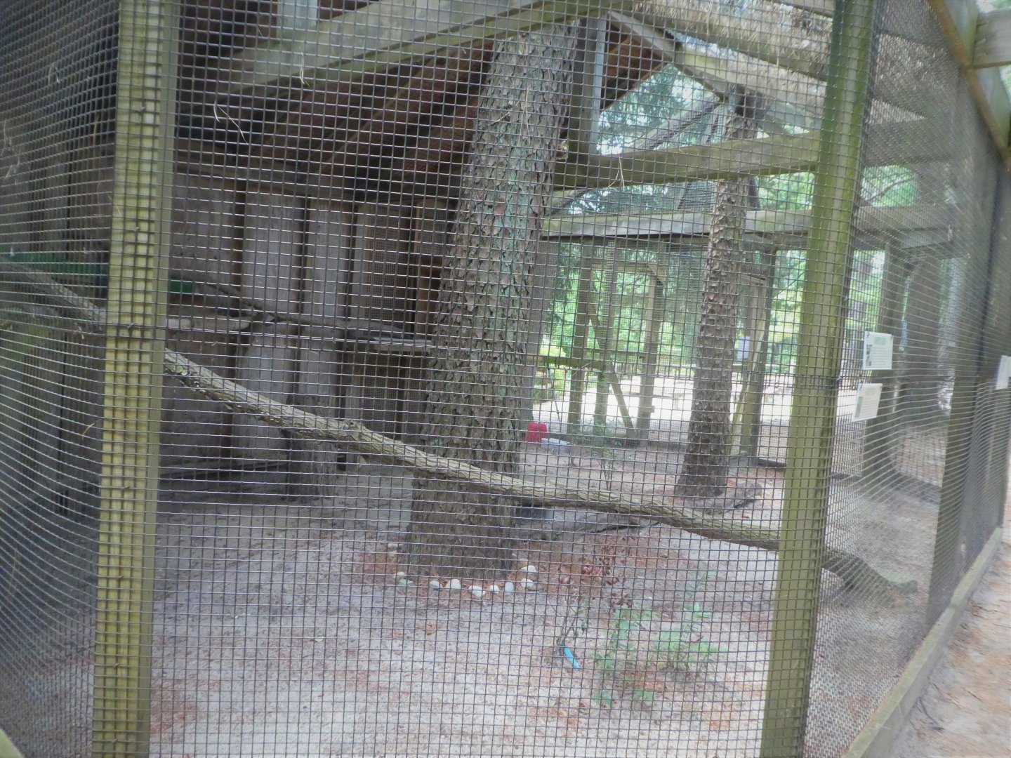 Wildlife Housing Area - Northern Barred Owl Exhibit