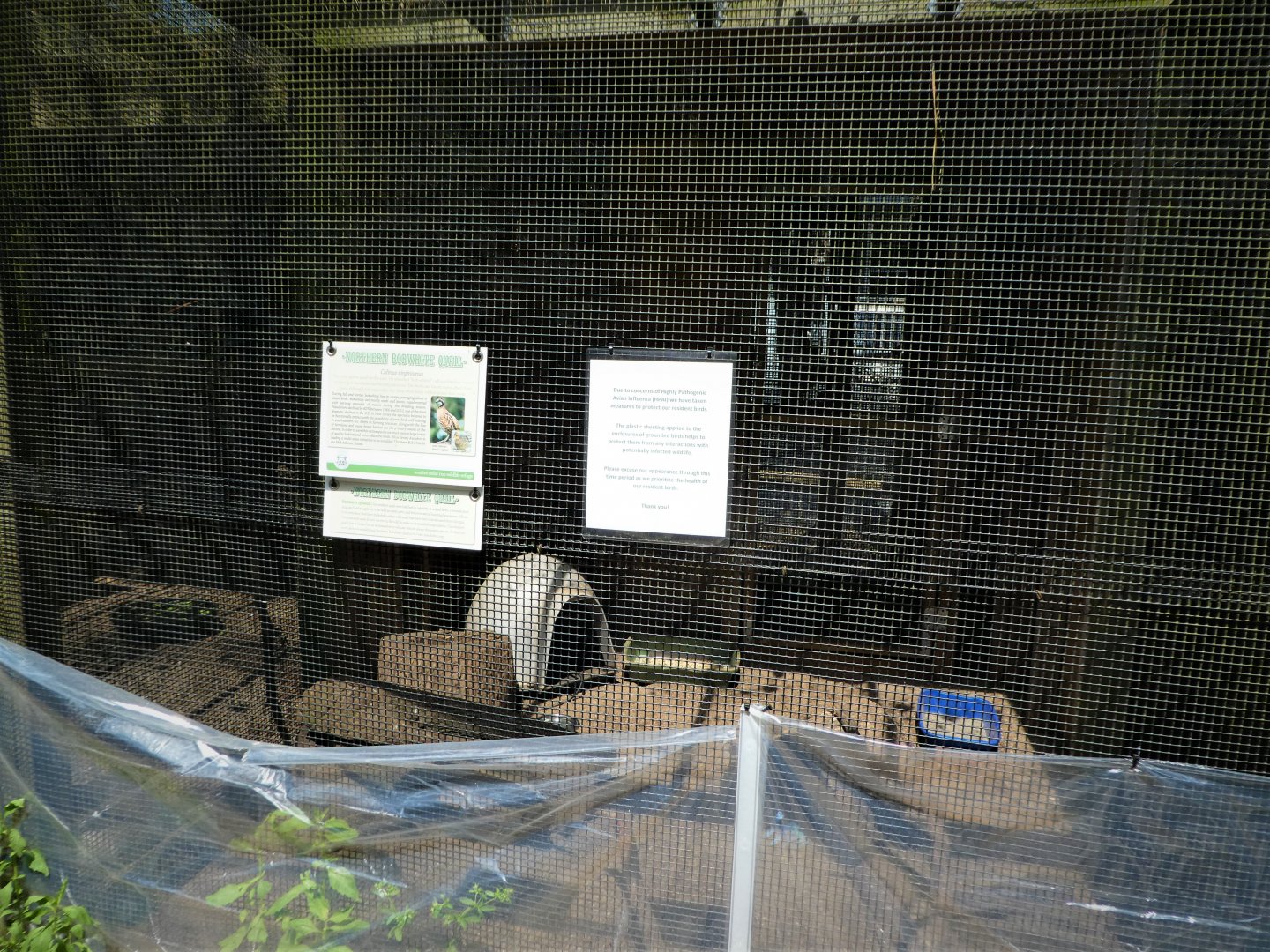 Wildlife Housing Area - Northern Bobwhite Exhibit
