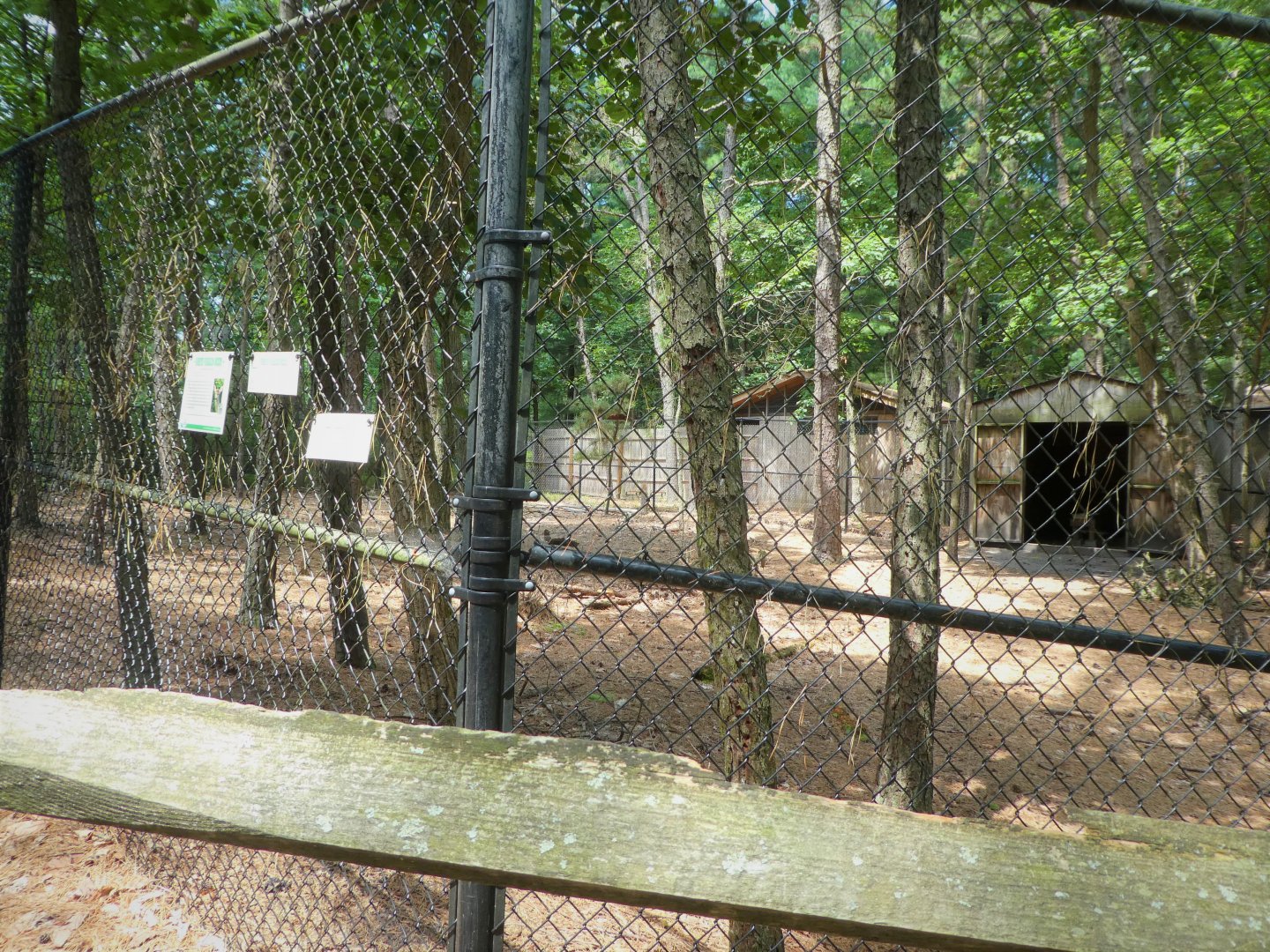 Wildlife Housing Area - Northern White-tailed Deer Exhibit
