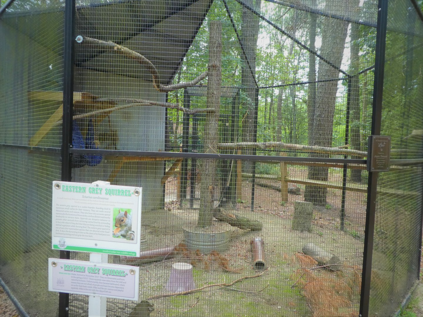 Wildlife Housing Area - Pennsylvania Gray Squirrel Exhibit