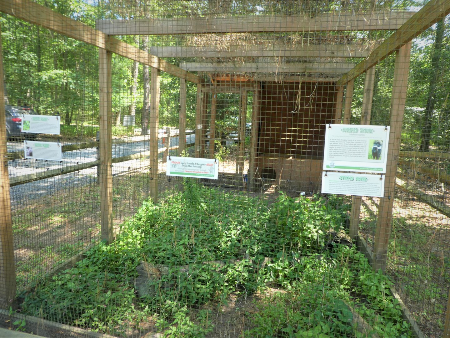 Wildlife Housing Area - Striped Skunk Exhibit
