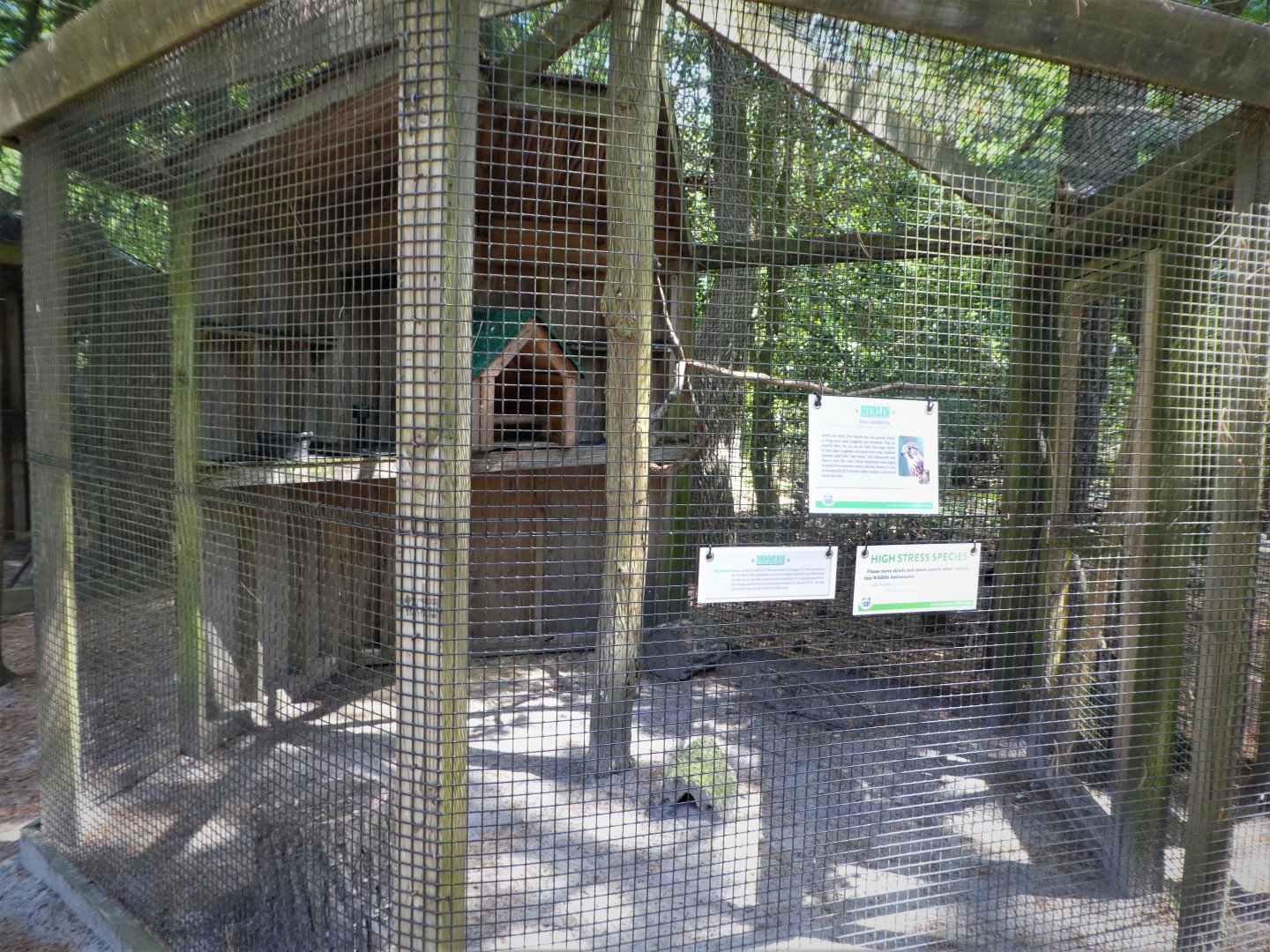 Wildlife Housing Area - Taiga Merlin Exhibit