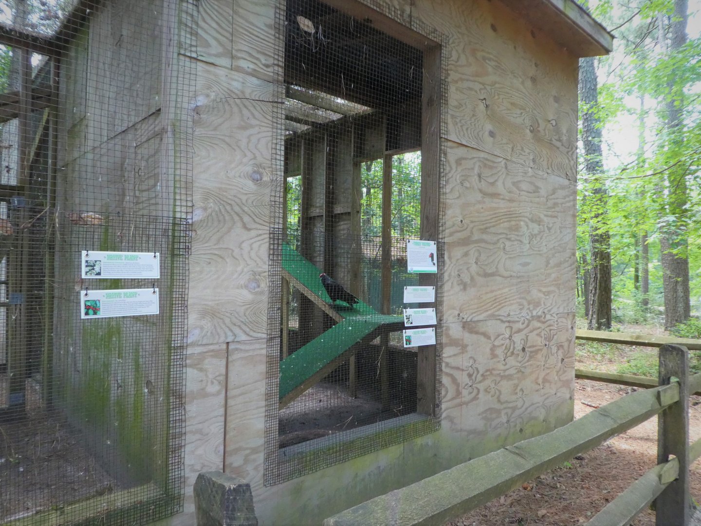 Wildlife Housing Area - Turkey Vulture Exhibit