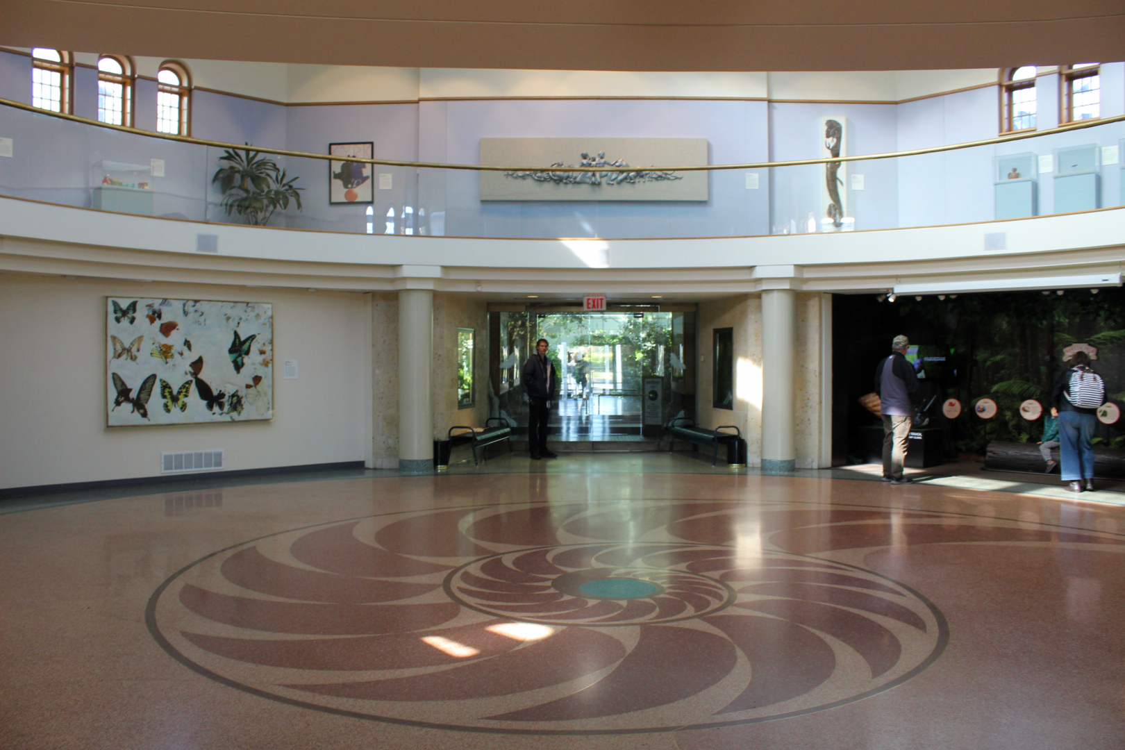 Wildlife Interpretive Gallery Main Lobby