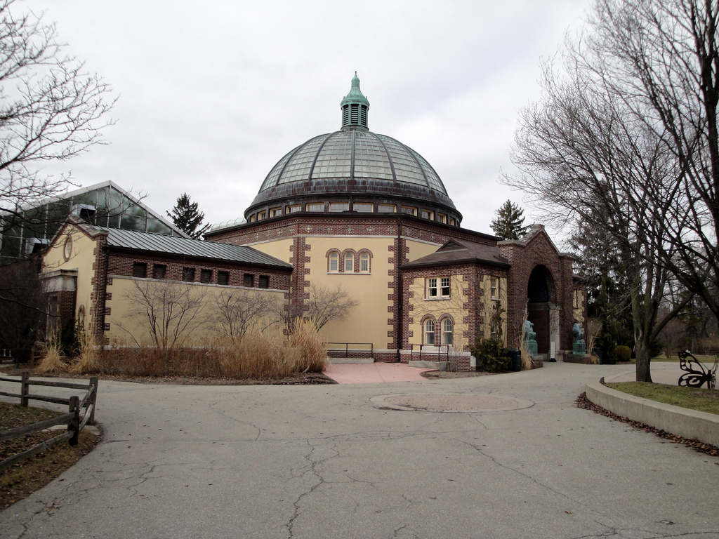 Wildlife Interpretive Gallery