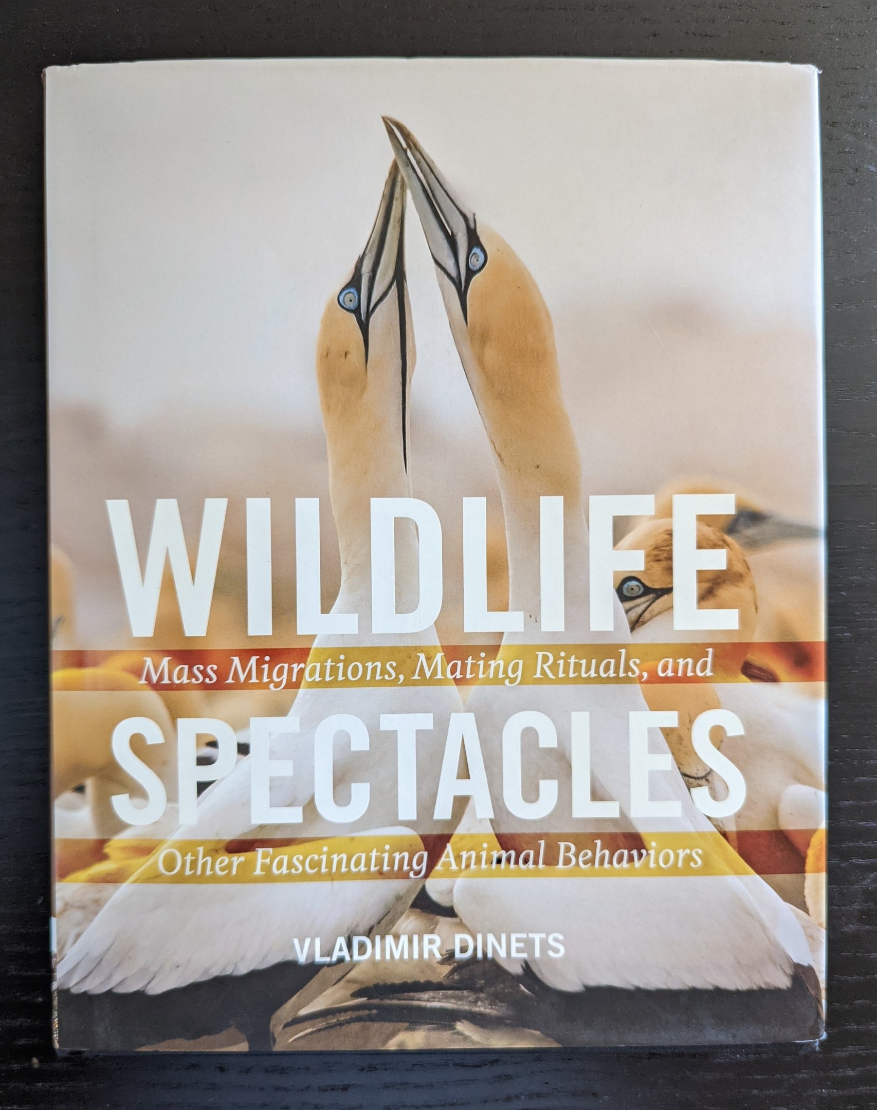 Wildlife Mass Migrations, Mating Rituals, and Spectacles Other Fascinating Animal Behaviors