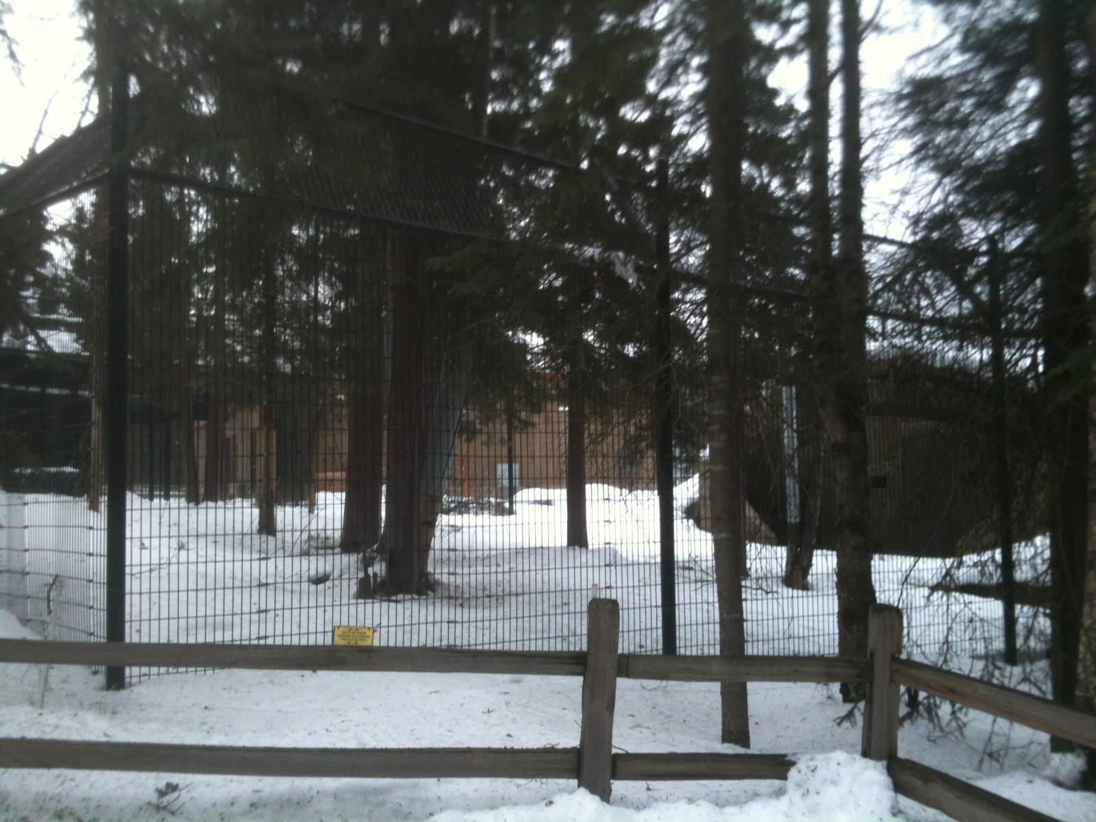 Wildlife Nursery/Rehab Holding Facility