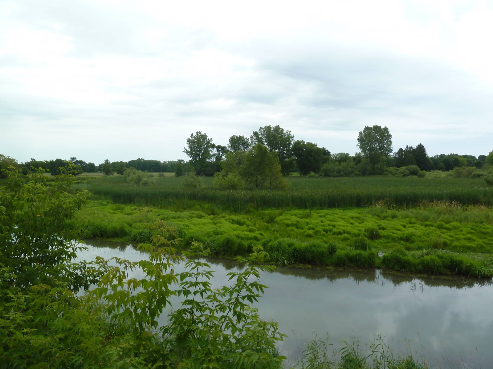 Wildlife Observation Platform - Scenic View