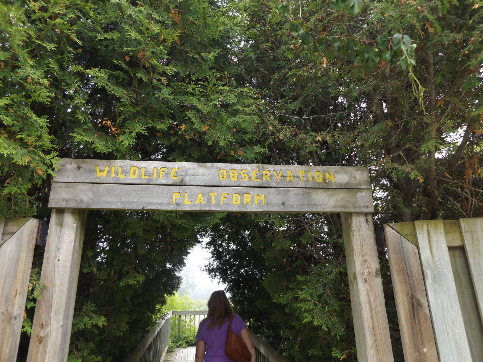 Wildlife Observation Platform Sign/ Entrance