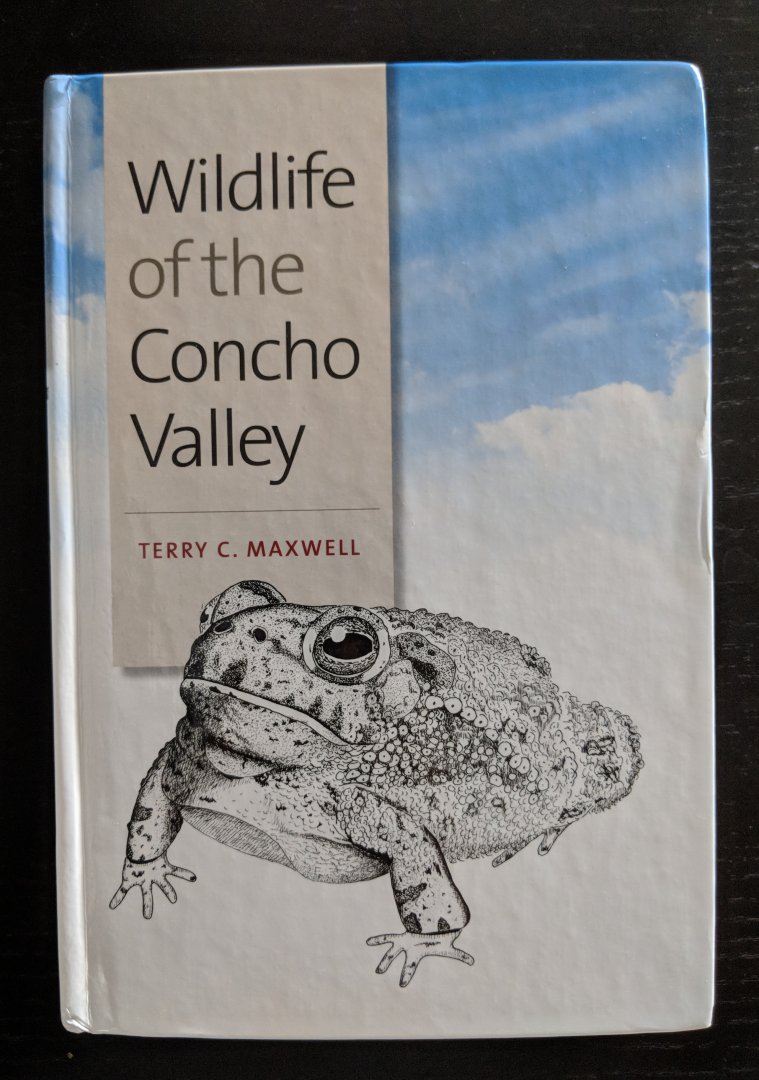 Wildlife of the Concho Valley