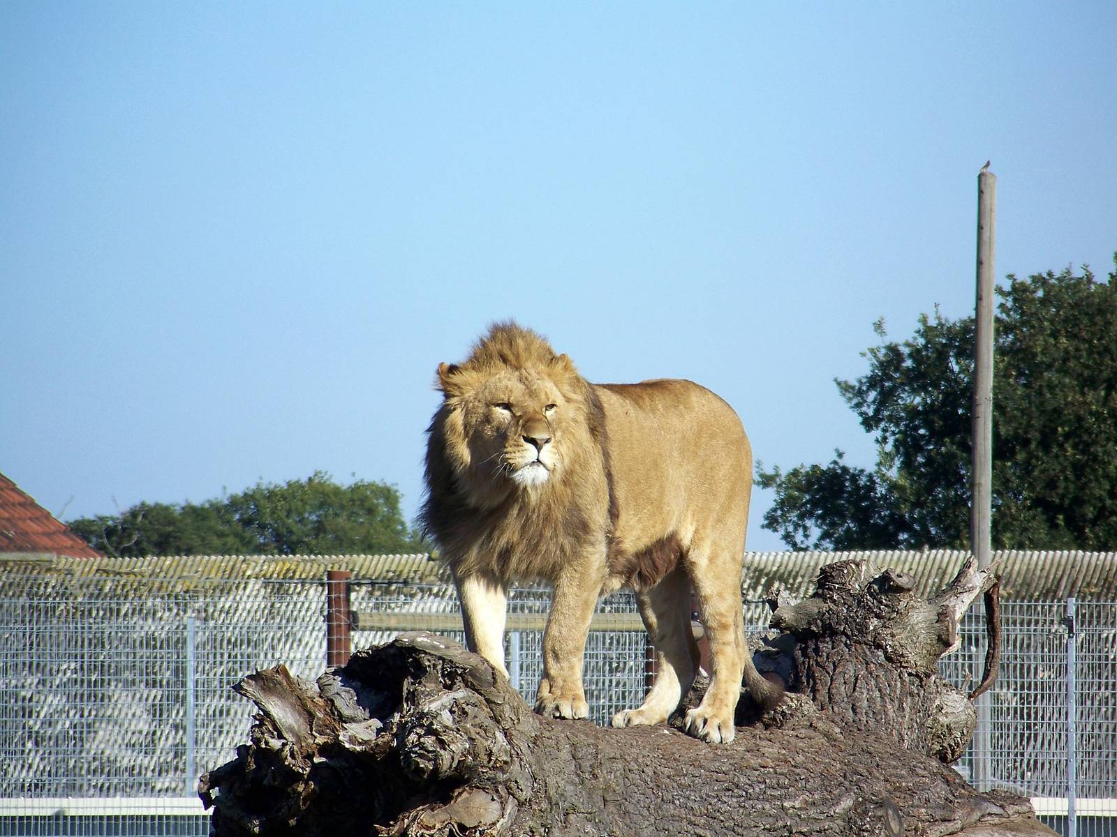 wildlife park 194 julie