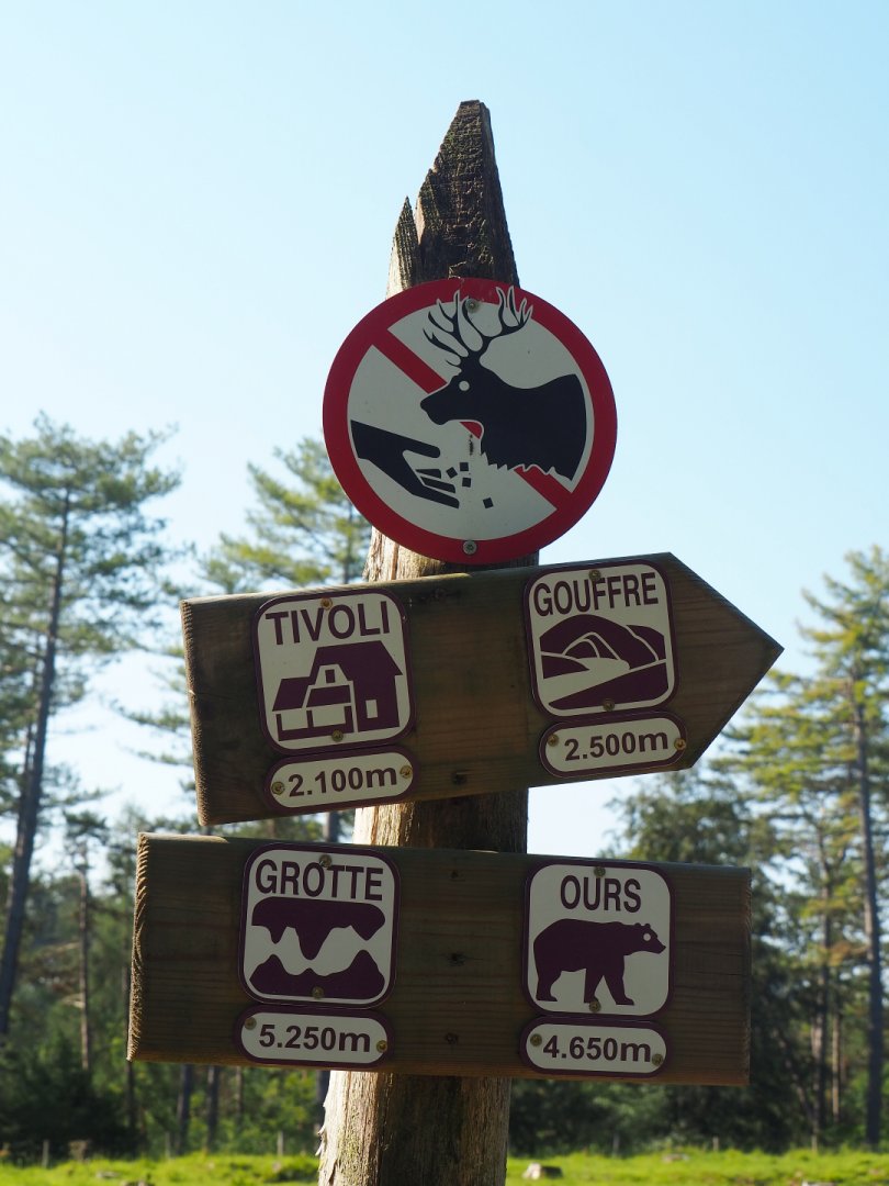 Wildlife park road signs and No feeding signage, 2020-07-12