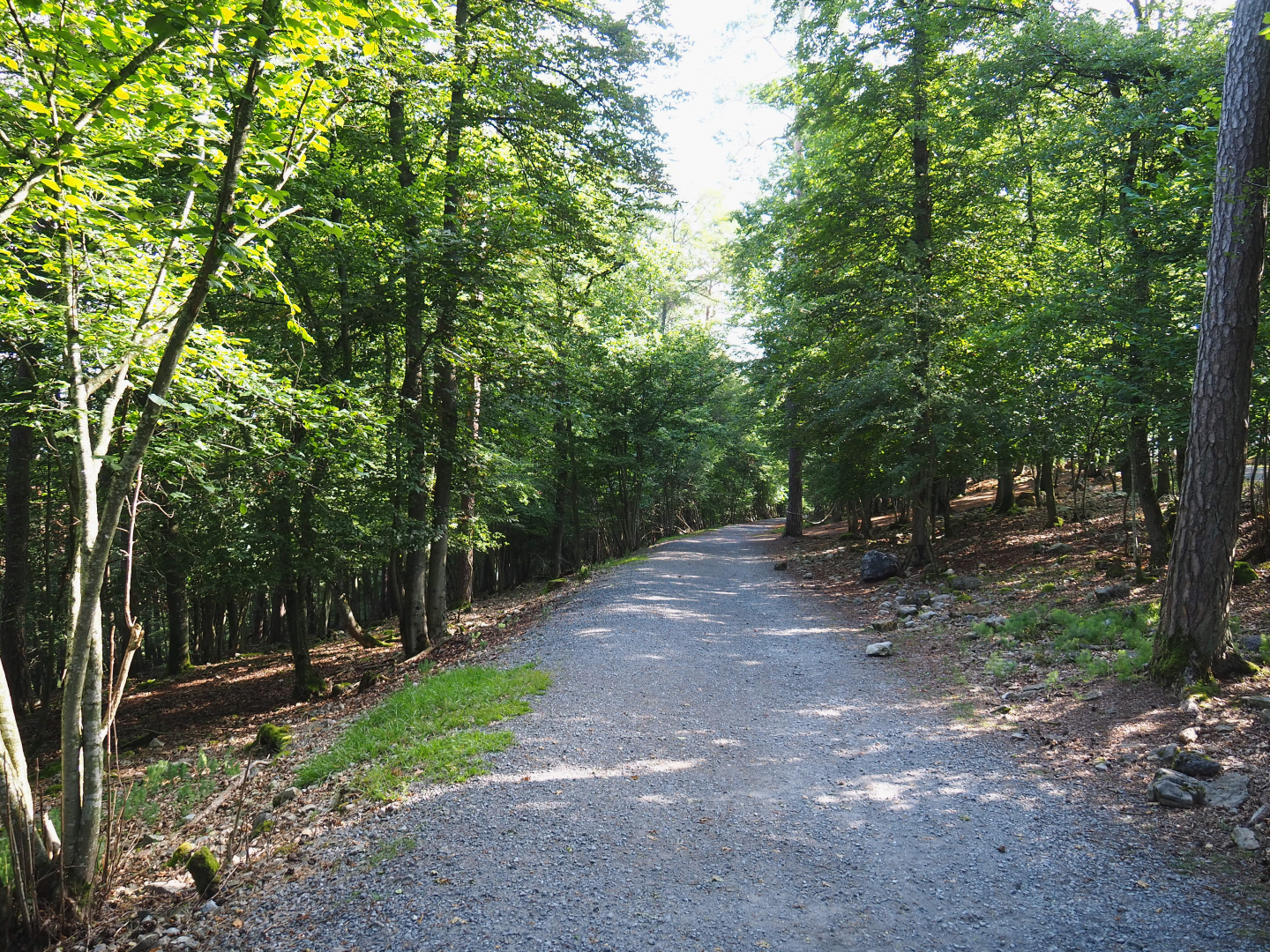 Wildlife park trail, 2021-08-15