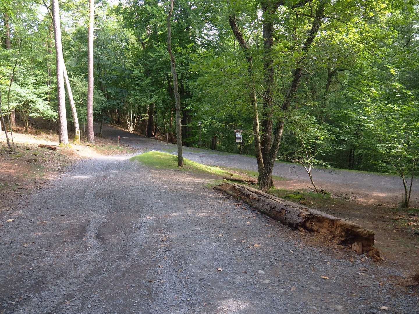 Wildlife park trail, 2021-08-15