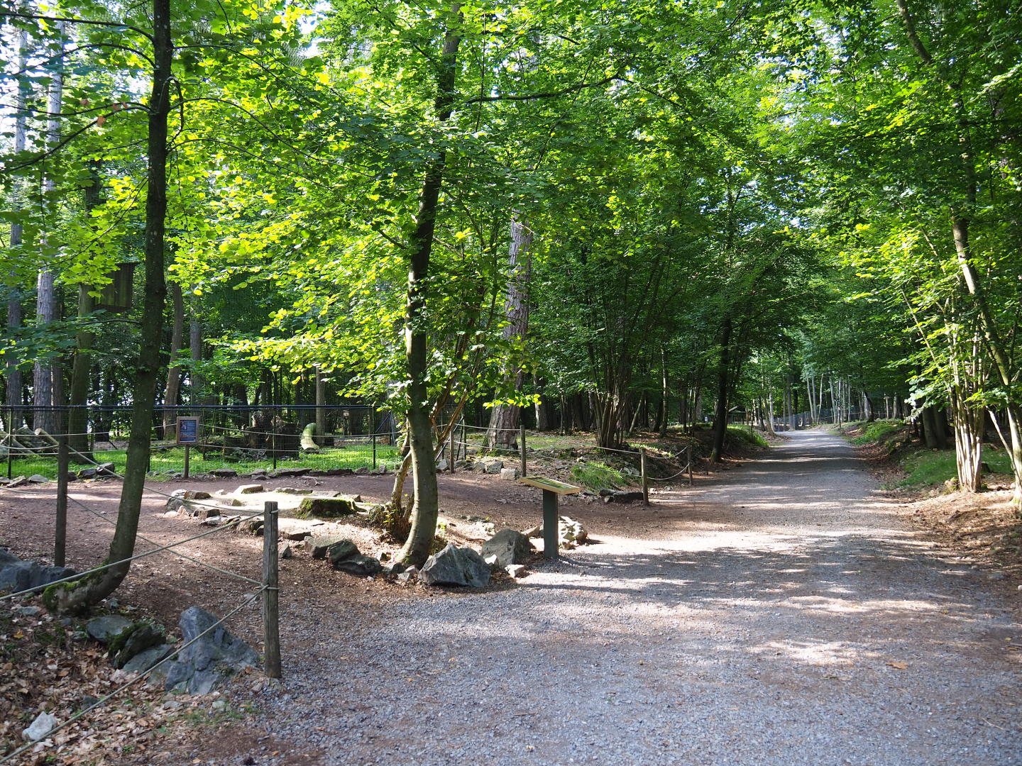 Wildlife park trail and Eurasian eagle owl aviary viewing area, 2021-08-15