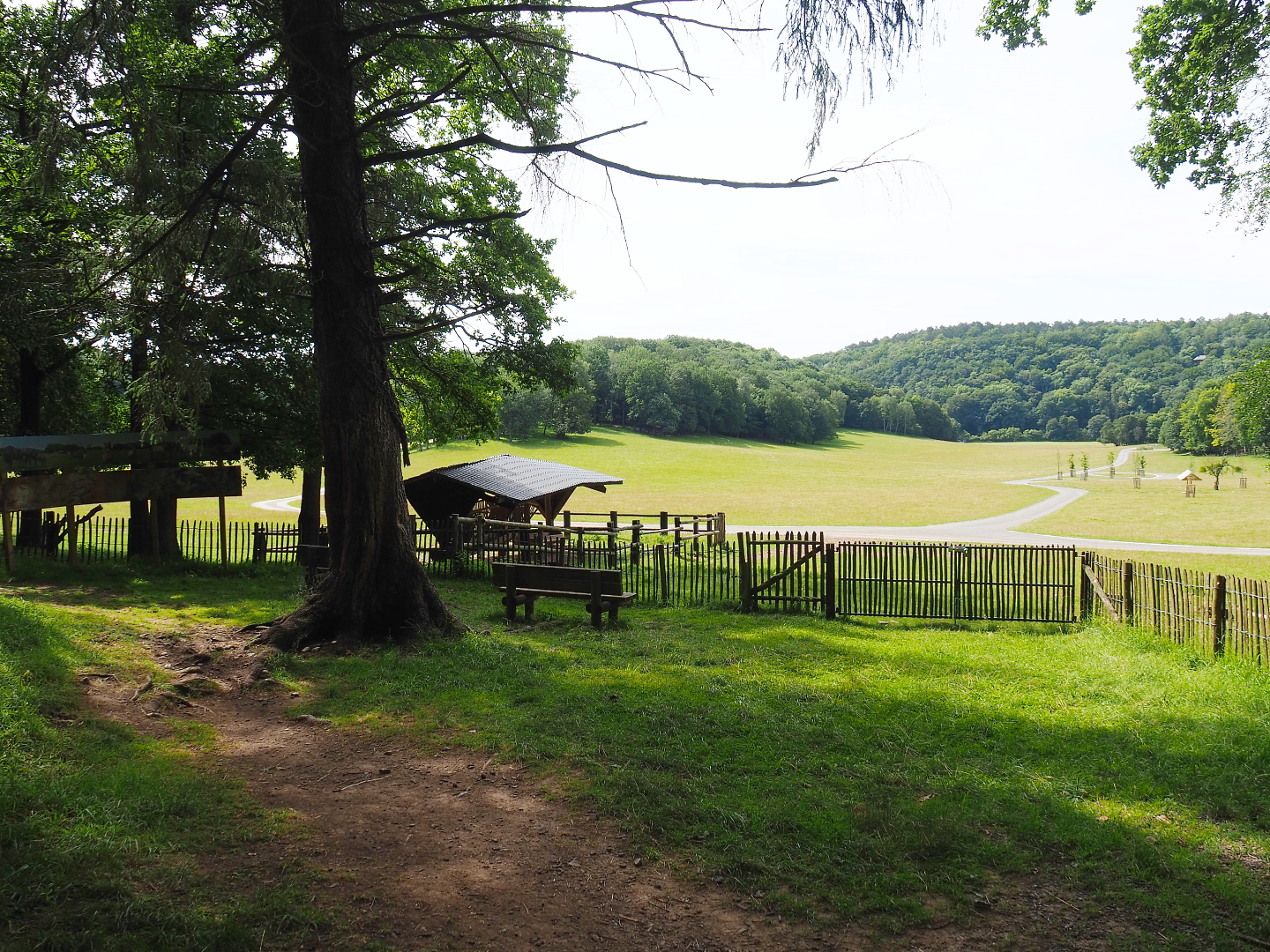 Wildlife park trail and large mixed paddock in the Lesse Valley and lower part of the wildlife park, 2021-08-15