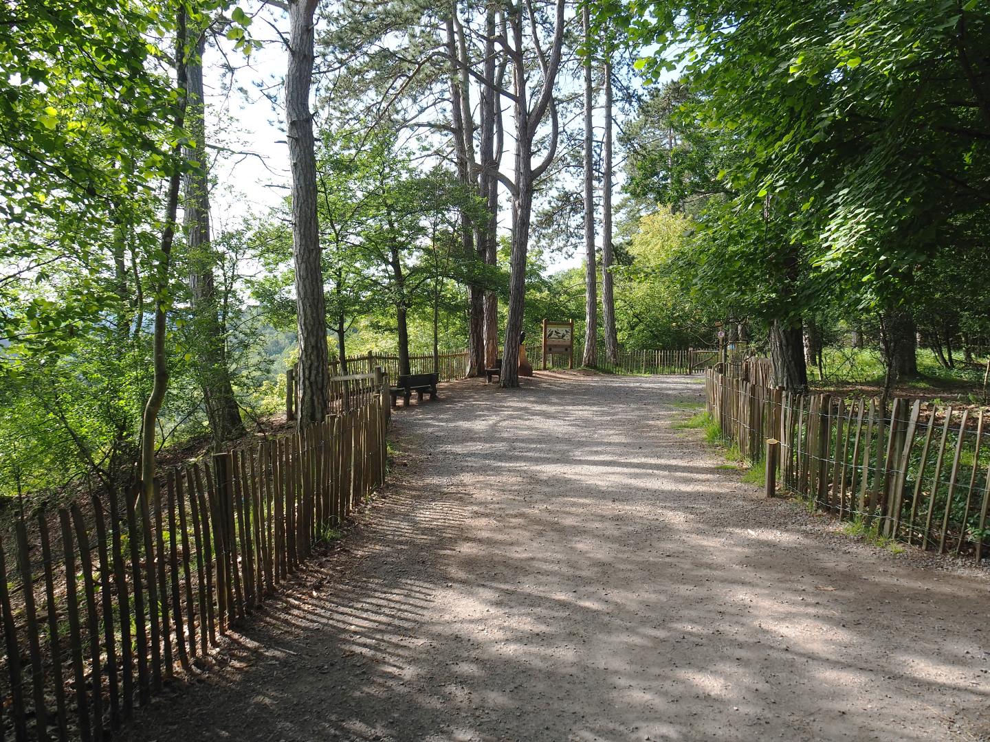 Wildlife park trail and viewing area over Lesse Valley with corvid education, 2021-08-15