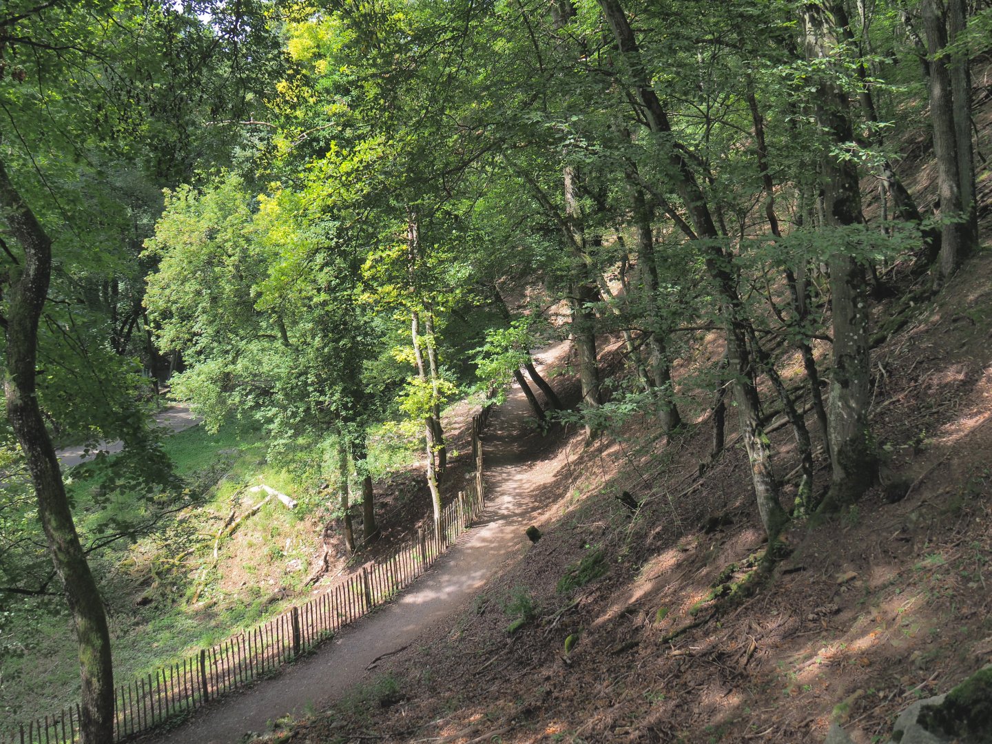 Wildlife park trail near the vulture exhibit, 2021-08-15