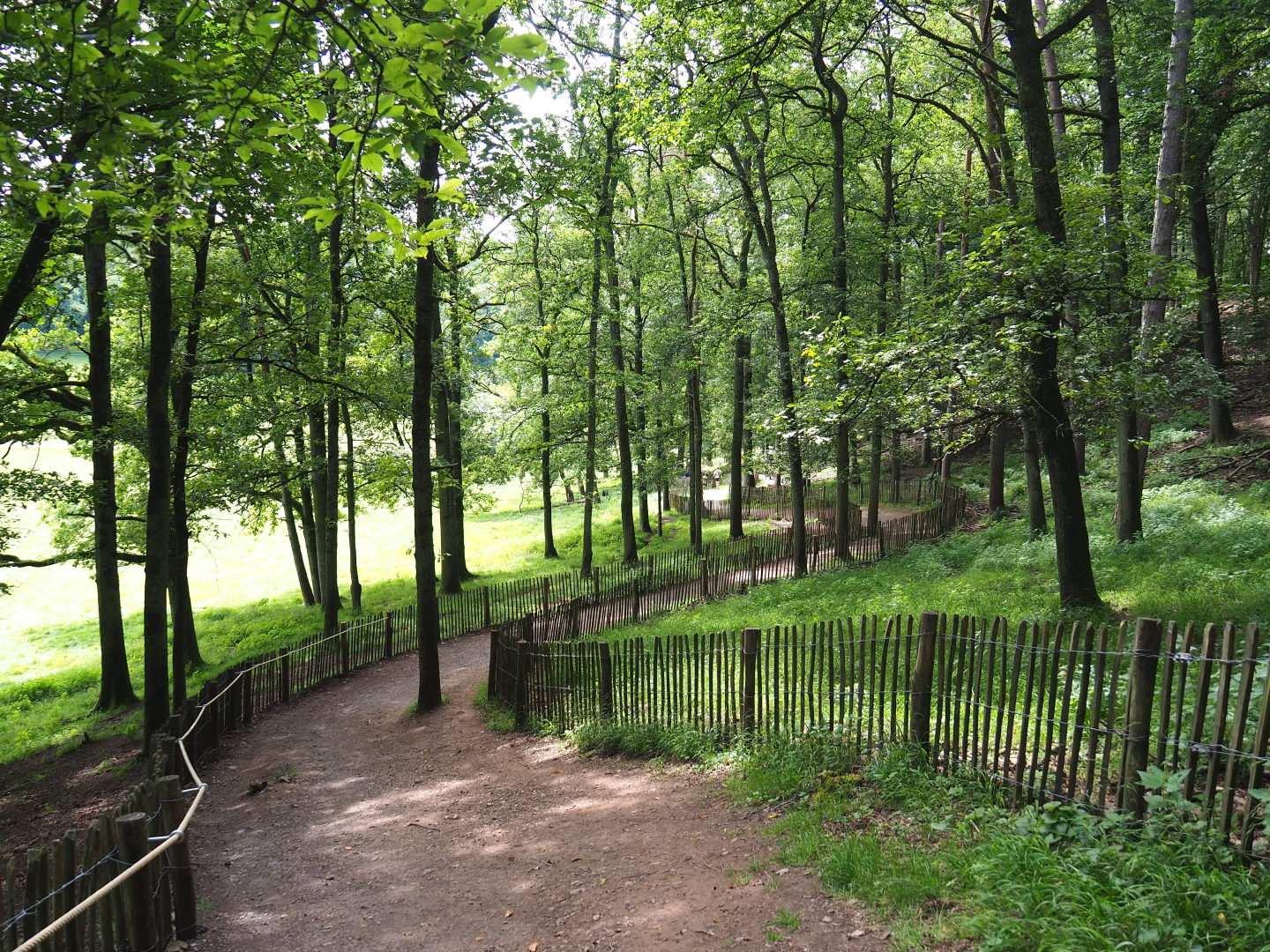 Wildlife park trail through forested area, 2021-08-15