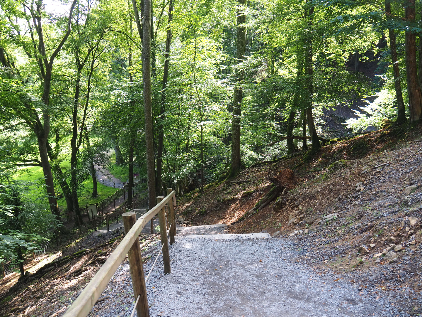 Wildlife park trail with stairs heading down to the Lesse Valley through ravine forest, 2021-08-15