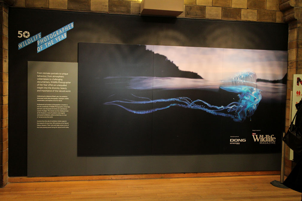 Wildlife Photographer of the Year