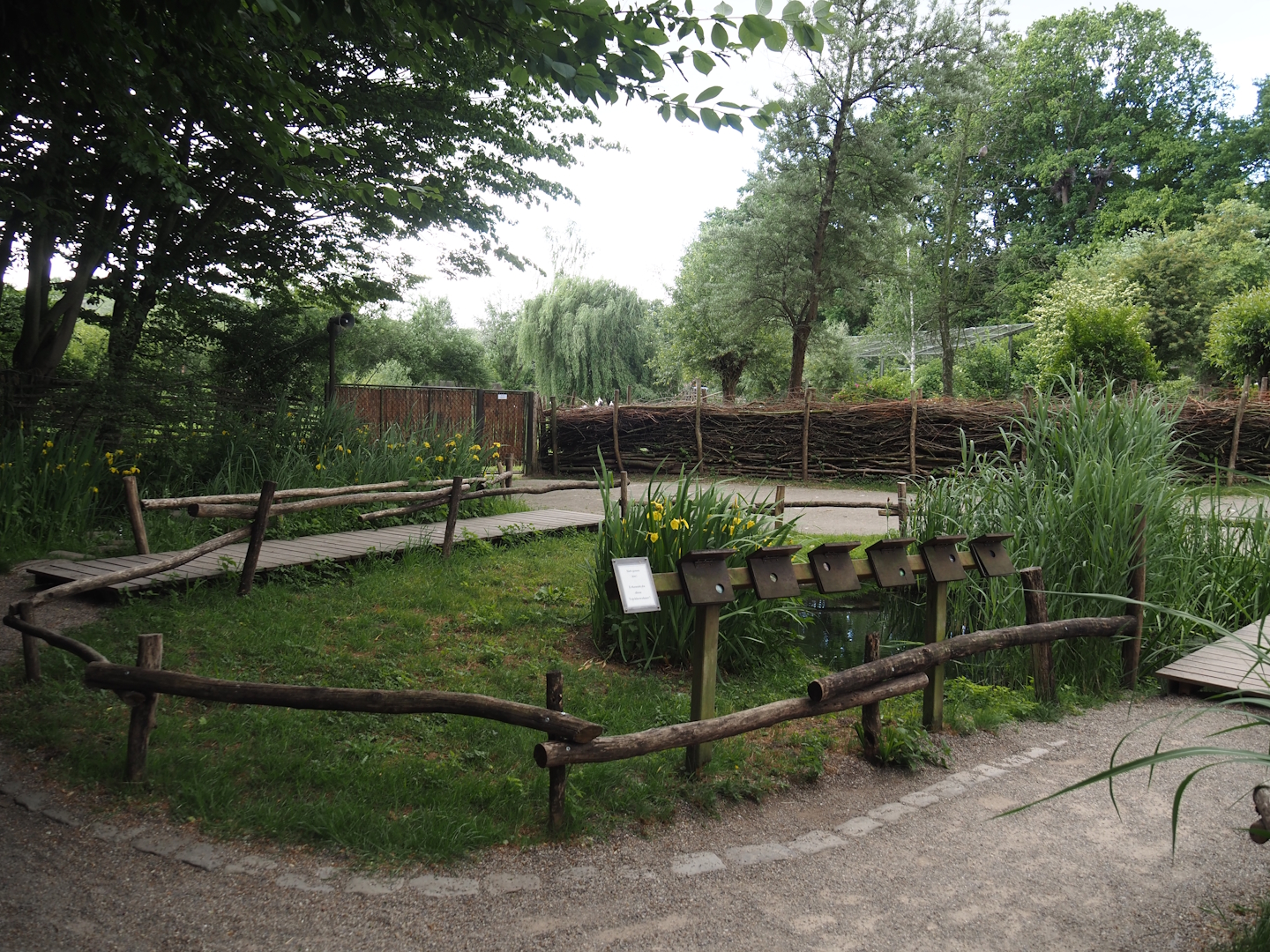 Wildlife pond and aquatic native wildlife education area, 2025-05-22