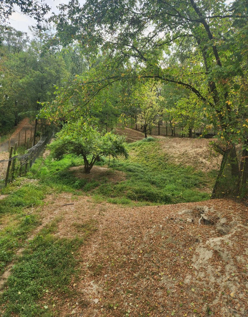 Wildlife Prairie Park - American Black Bear enclosure