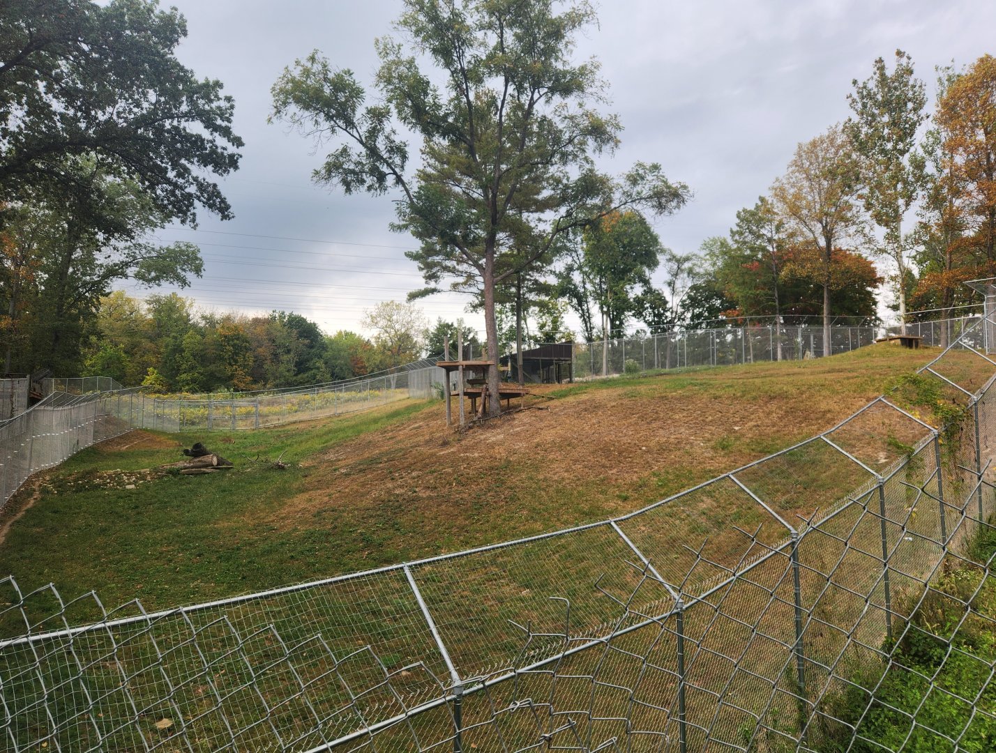 Wildlife Prairie Park - Cougar enclosure
