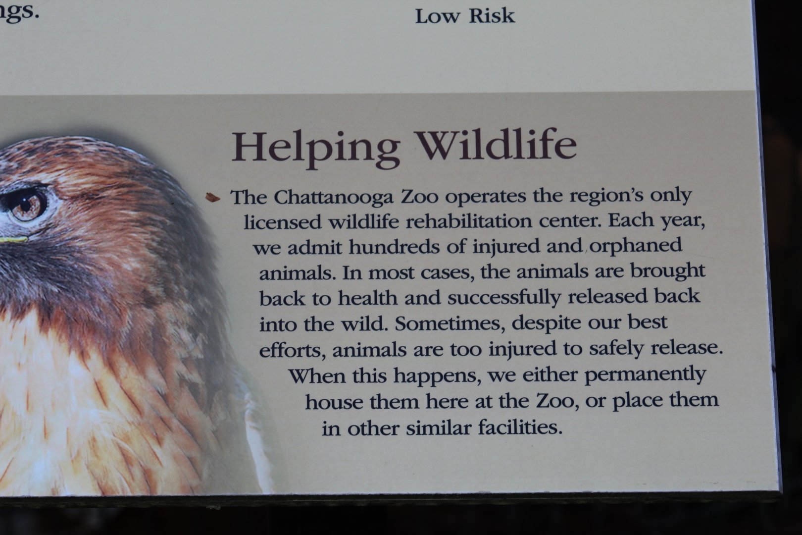 Wildlife Rehabilitation Sign