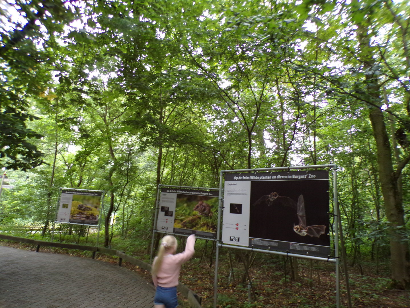 Wildlife signage 6.7.23