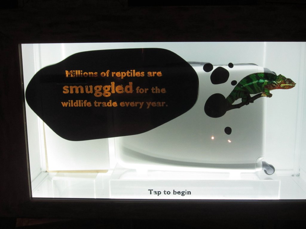 Wildlife Smuggling Interactive Display #2