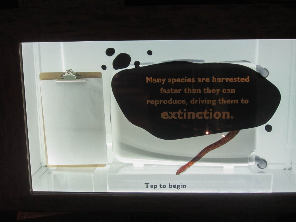 Wildlife Smuggling Interactive Display #3