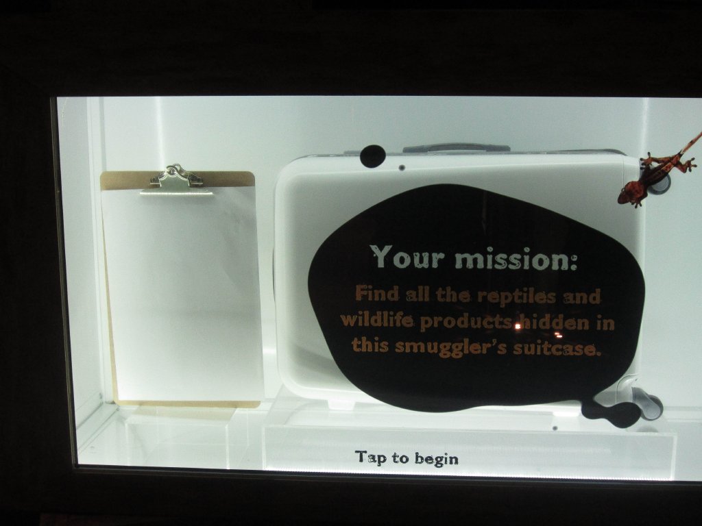 Wildlife Smuggling Interactive Display #4