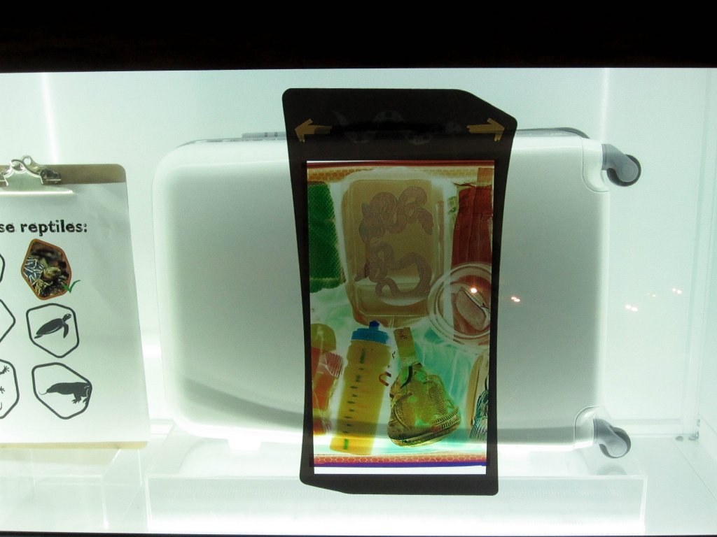 Wildlife Smuggling Interactive Display #6