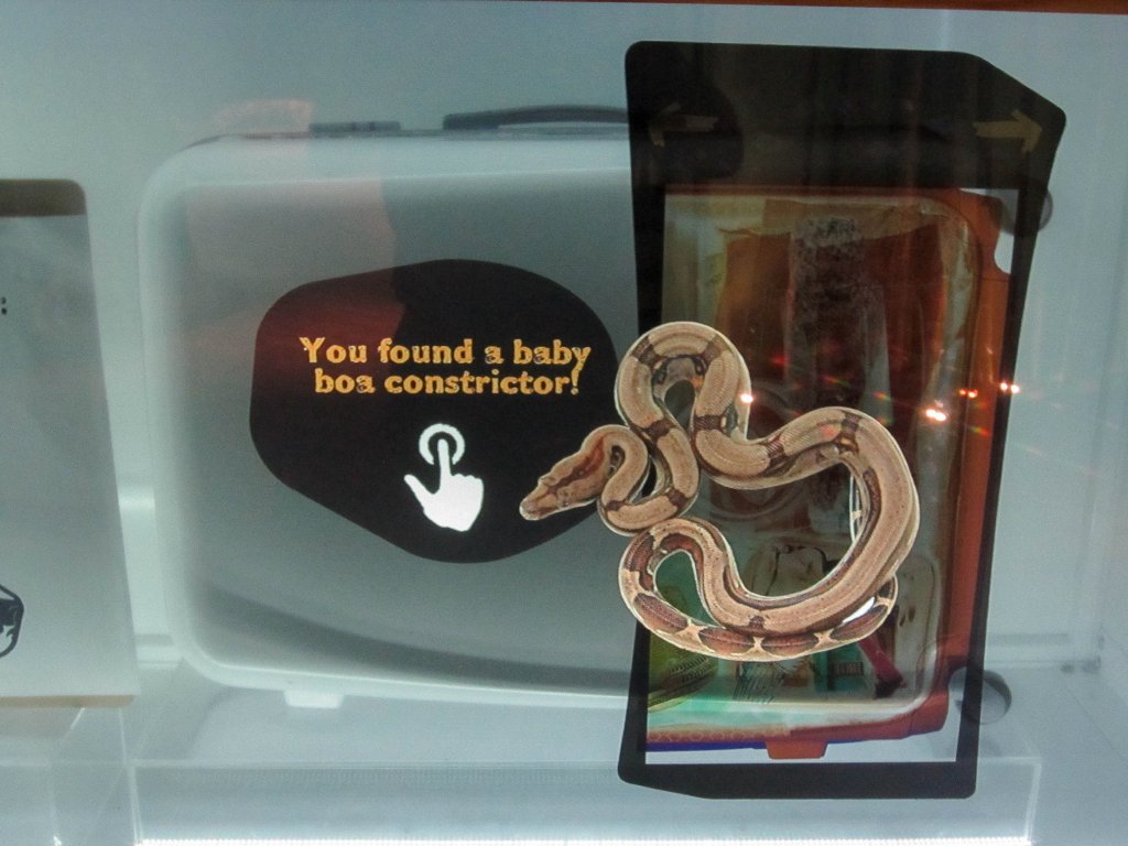 Wildlife Smuggling Interactive Display #7