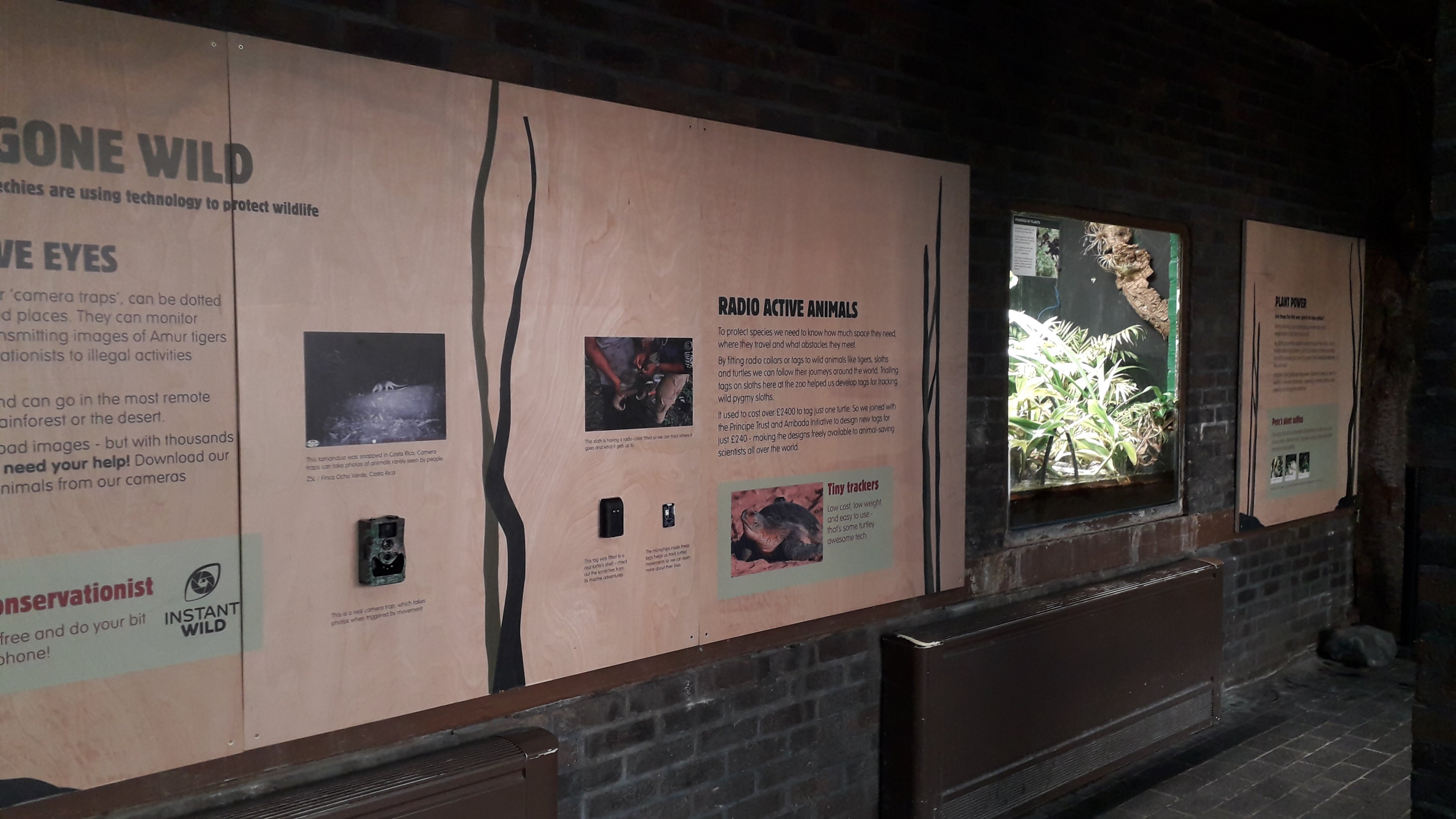 Wildlife surveillance technology display