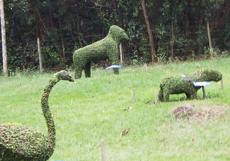 Wildlife Topiary
