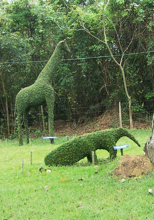 Wildlife Topiary