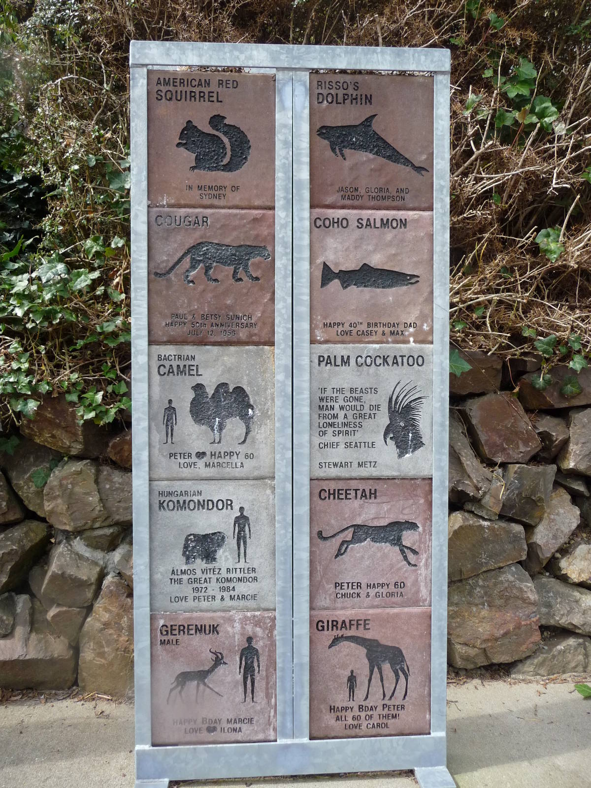 Wildlife Tracks Library